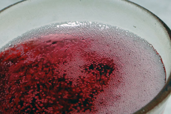 Salty_Watermelon_004.jpg