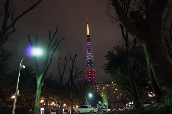 TOKYO_TOWER_20120316_003.jpg