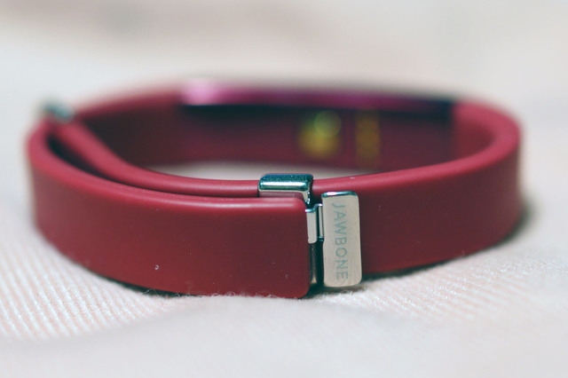 UP3_008.jpg