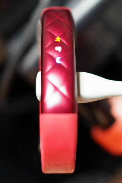 UP3_011.jpg