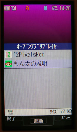 12pixels_006.jpg