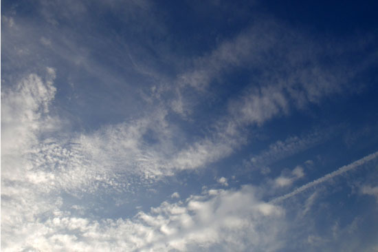 20100919_002.jpg