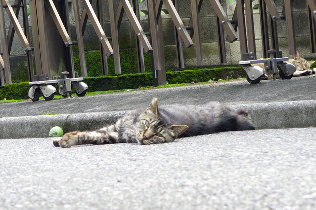 20190723_001.jpg