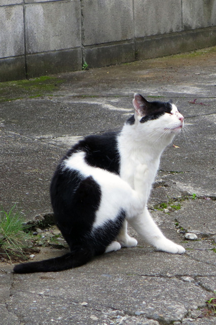 20190723_003.jpg