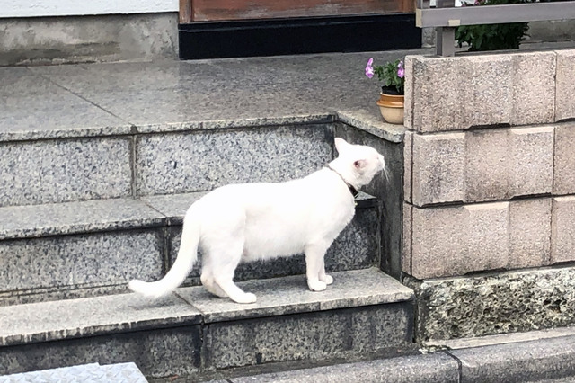 20190815_001.jpg