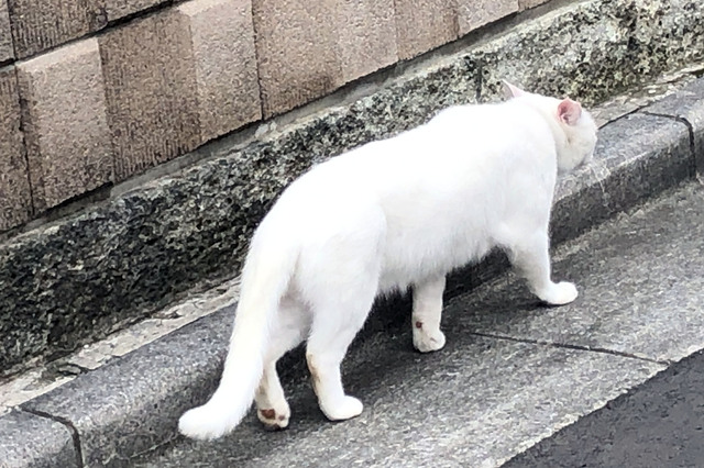 20190815_002.jpg