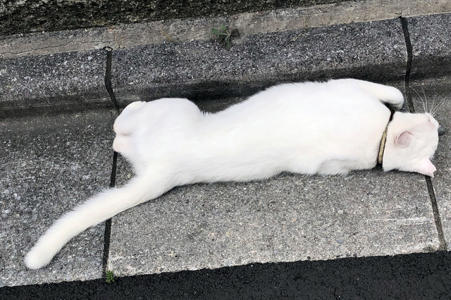 20190815_003.jpg
