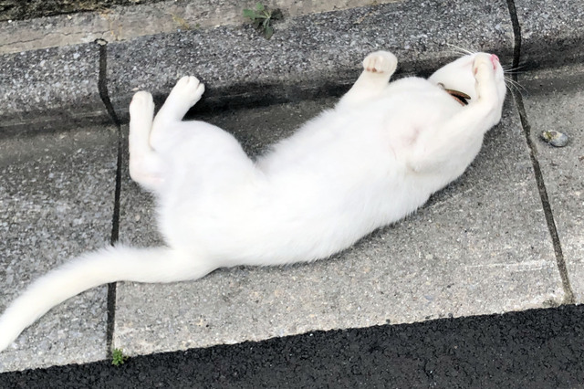 20190815_004.jpg