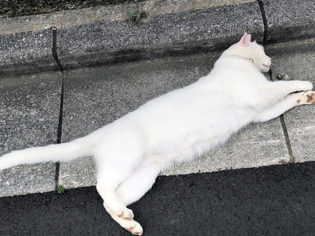 20190815_005.jpg