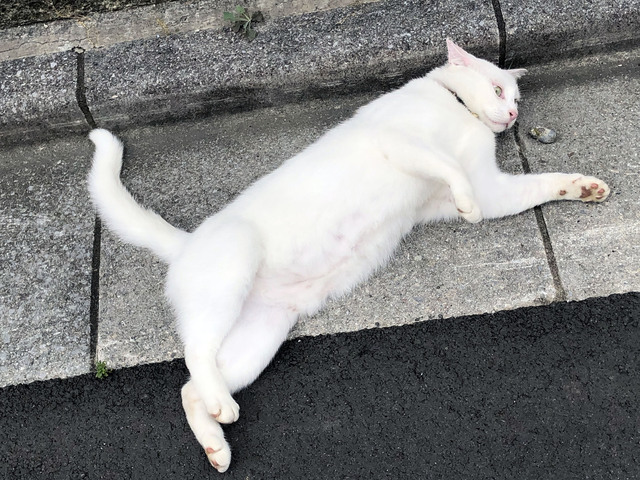 20190815_006.jpg