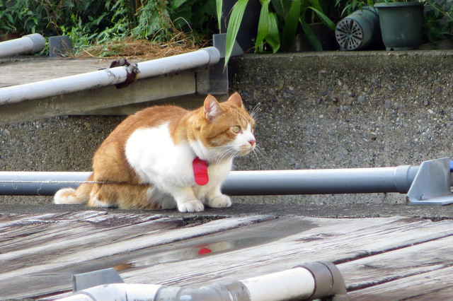 20190817_001.jpg