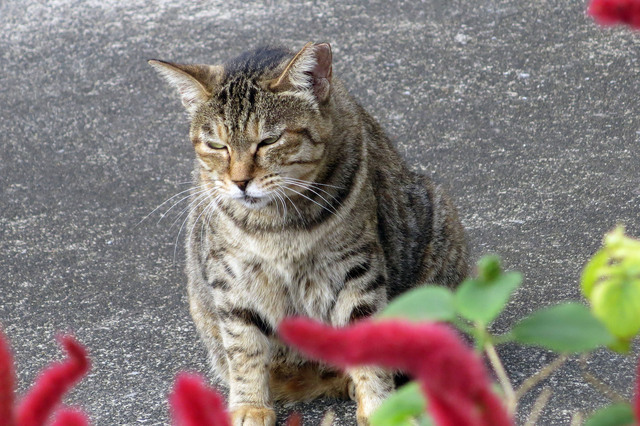 20190926_002.jpg