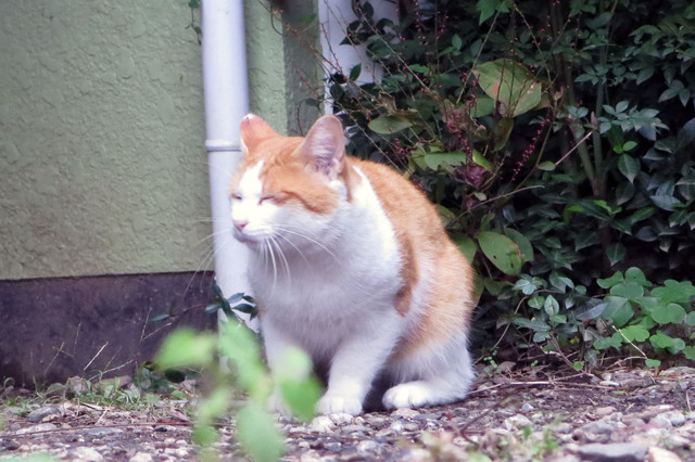 20191018_003.jpg
