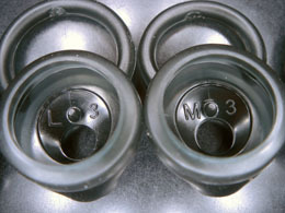 BT8040_034.jpg