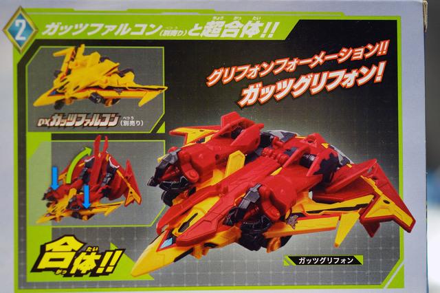 DX_GUTS_HAWK_007.jpg
