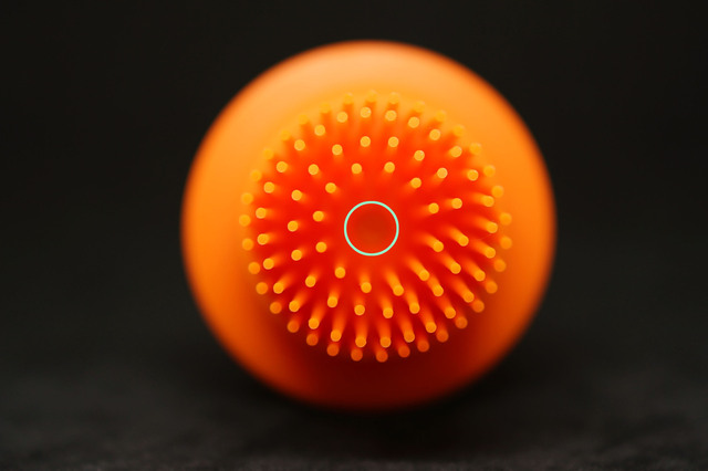 One_push_Oiling_brush_008.jpg