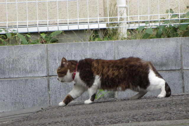 20131110_001.jpg