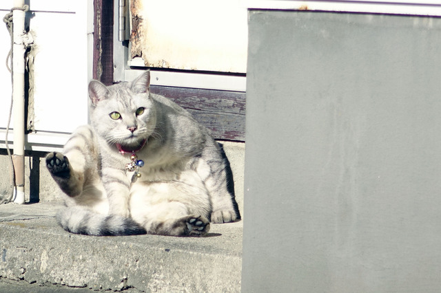 20131123_010.jpg