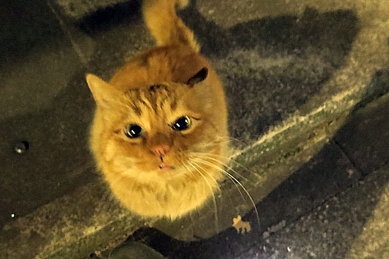 20131217_001.jpg