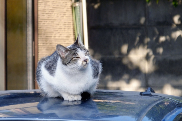 20140223_001.jpg