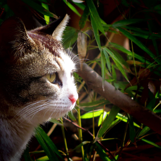 20140312_002.jpg