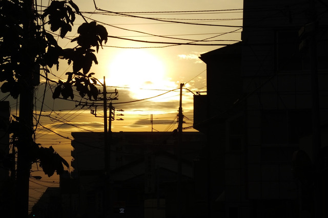 20140329_003.jpg