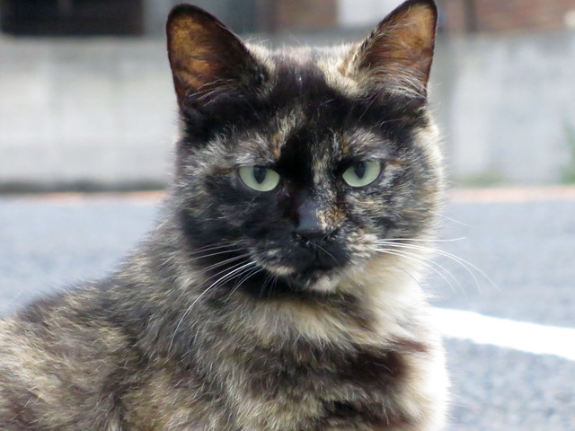 20140505_001.jpg