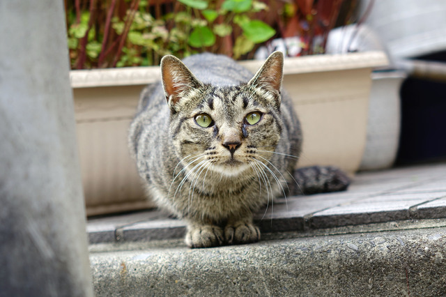 20140706_002.jpg