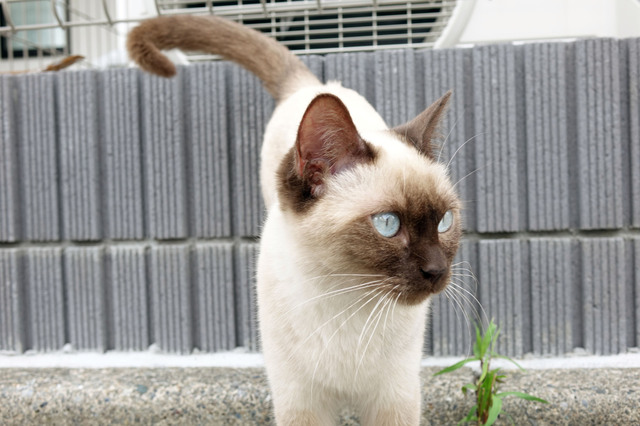 20140706_032.jpg