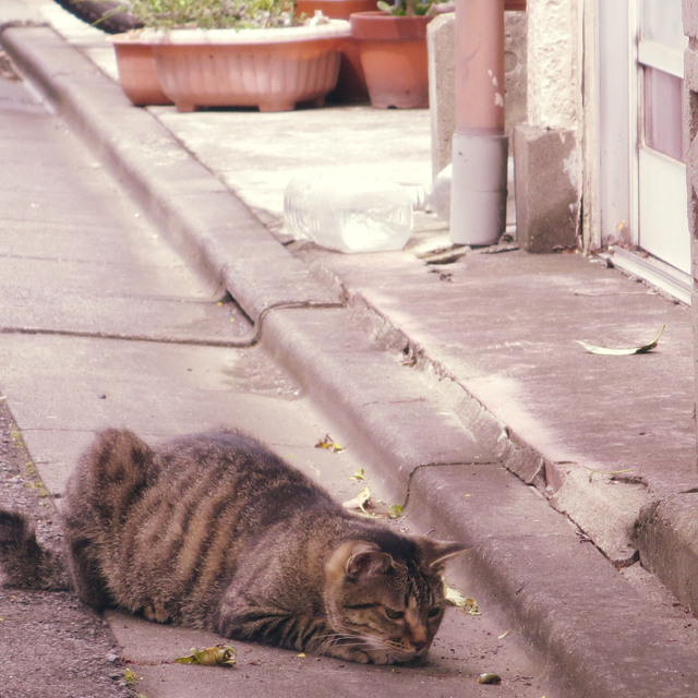 20140810_002.jpg