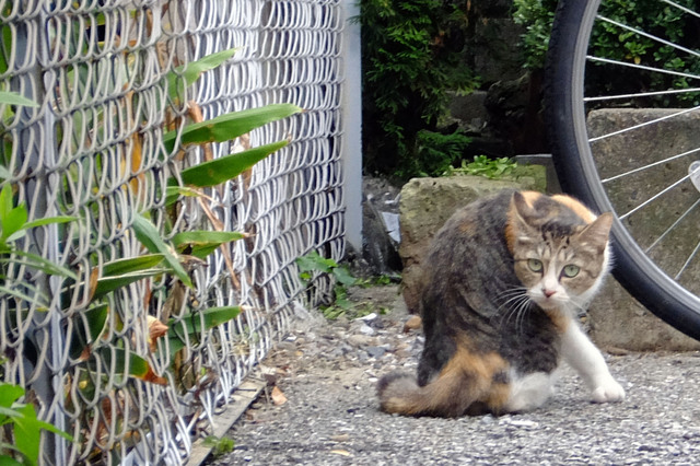 20141009_001.jpg