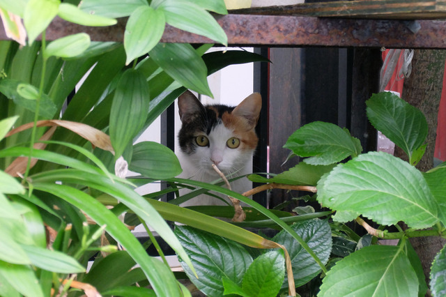 20150609_007.jpg
