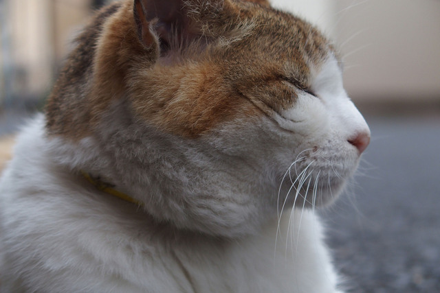 20150614_005.jpg