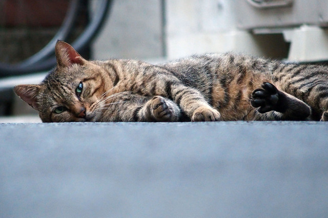 20150815_001.jpg