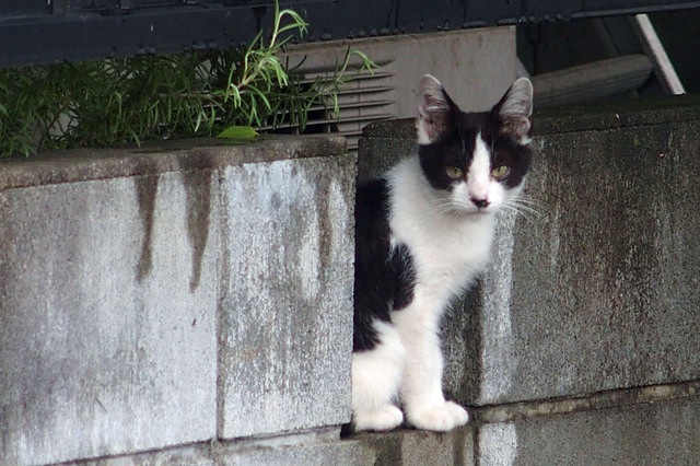 20150821_002.jpg