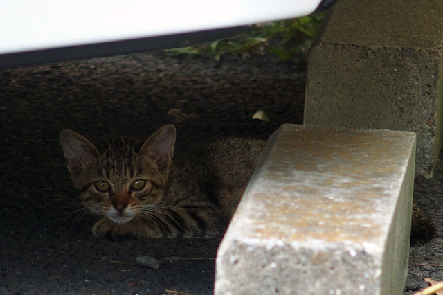 20150822_001.jpg