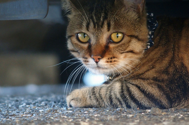 20150822_009.jpg