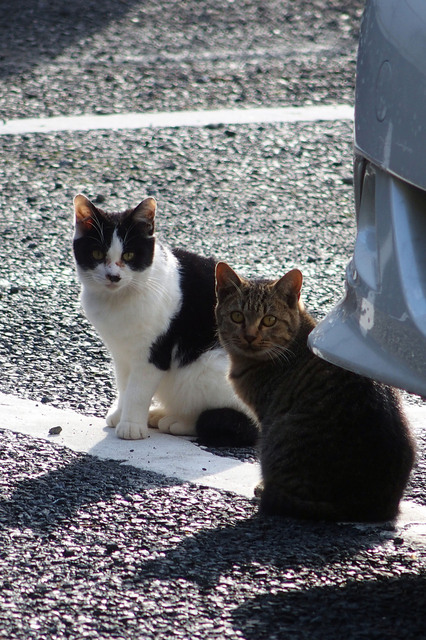 20151103_001.jpg