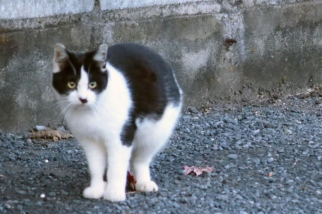 20151220_002.jpg