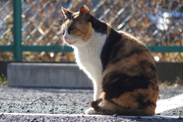 20160109_003.jpg