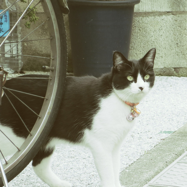 20160725_001.jpg