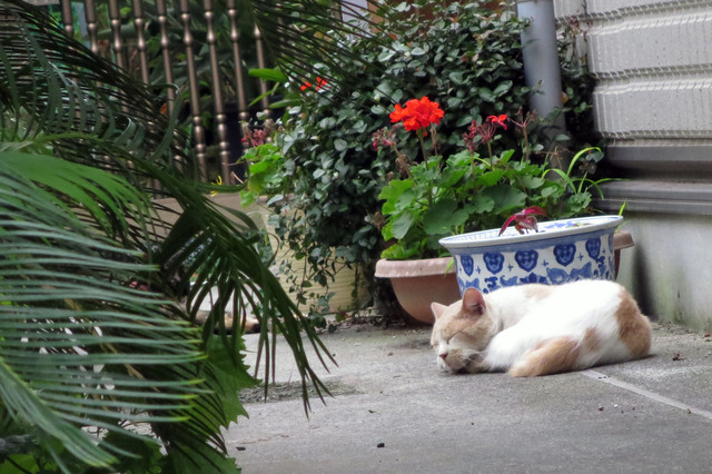 20160725_002.jpg