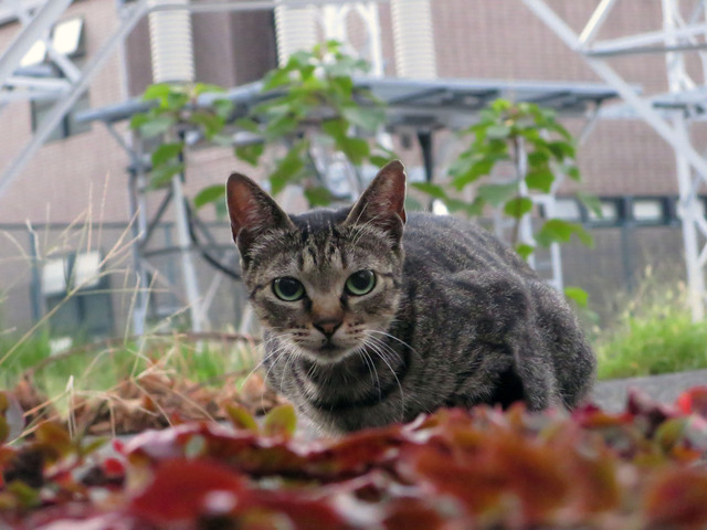 20160827_003.jpg