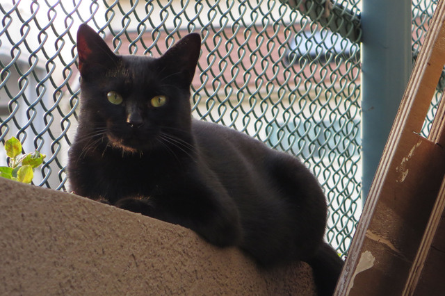 20160917_007.jpg