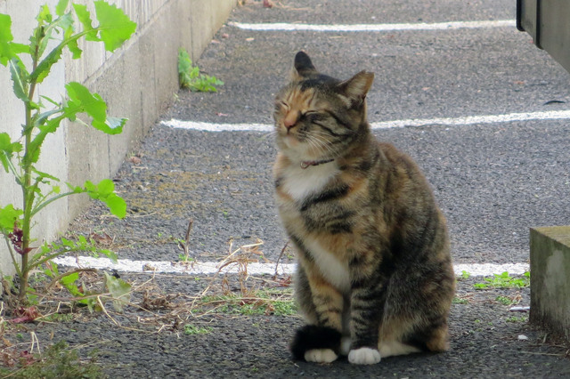 20161203_002.jpg