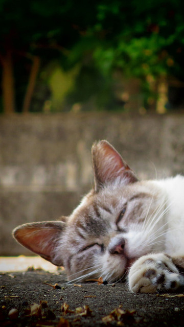 20170616_001.jpg