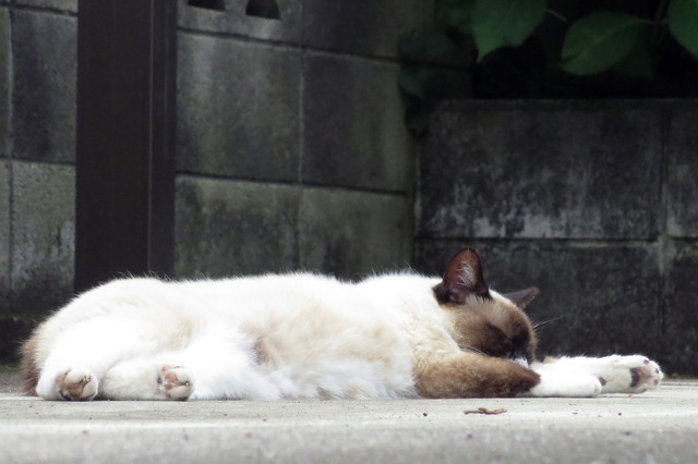 20170704_003.jpg