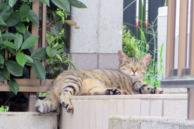 20170719_001.jpg