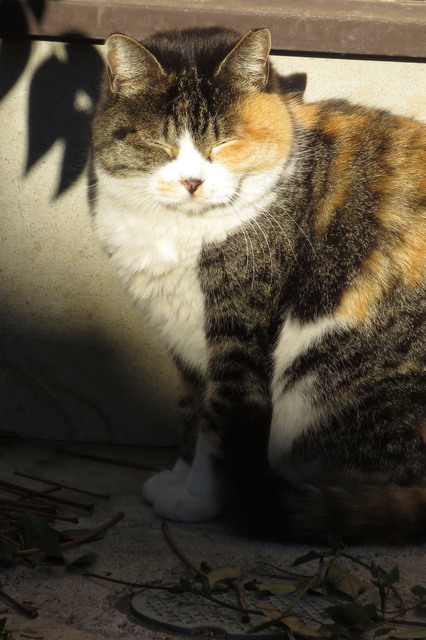 20180130_001.jpg