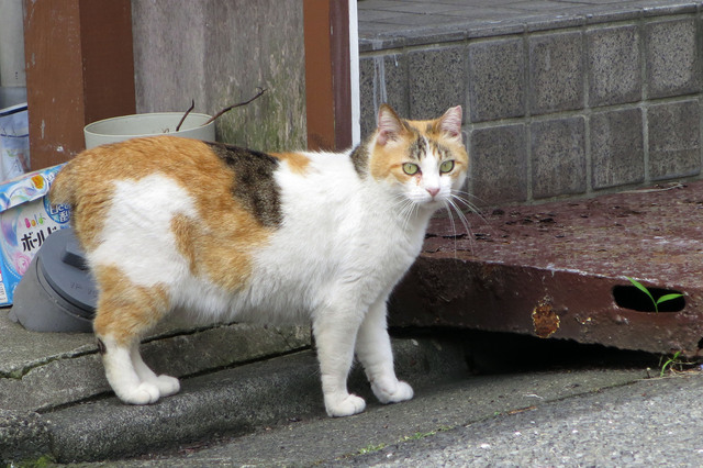 20180524_001.jpg